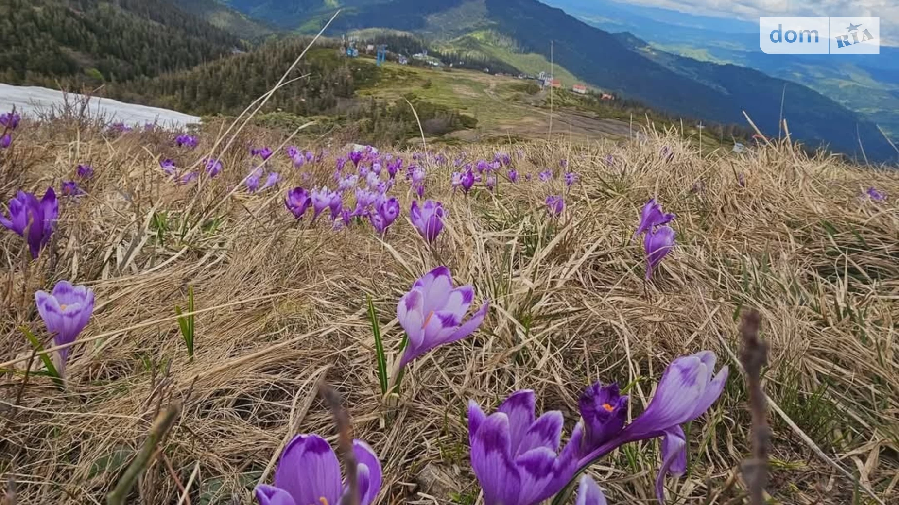 Продається земельна ділянка 10 соток у Закарпатській області, цена: 12000 $ - фото 2