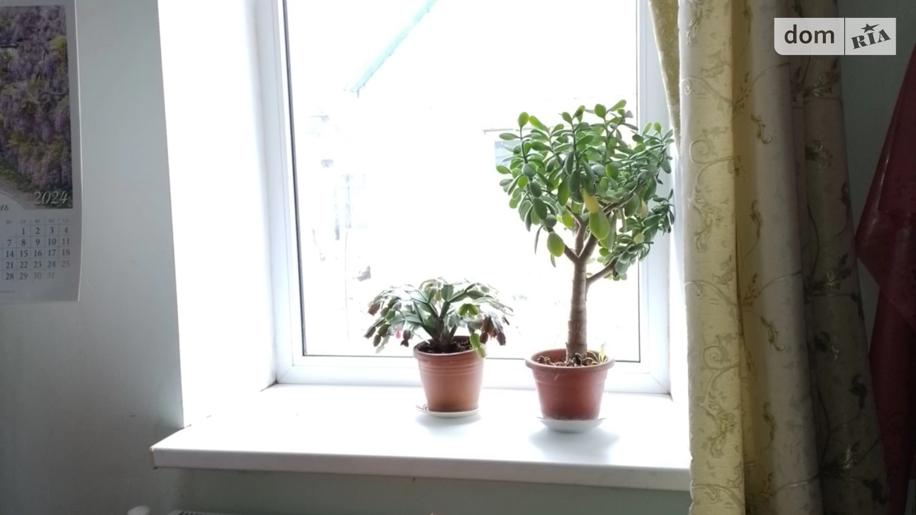 Продається одноповерховий будинок 80 кв. м с басейном, цена: 65000 $ - фото 3