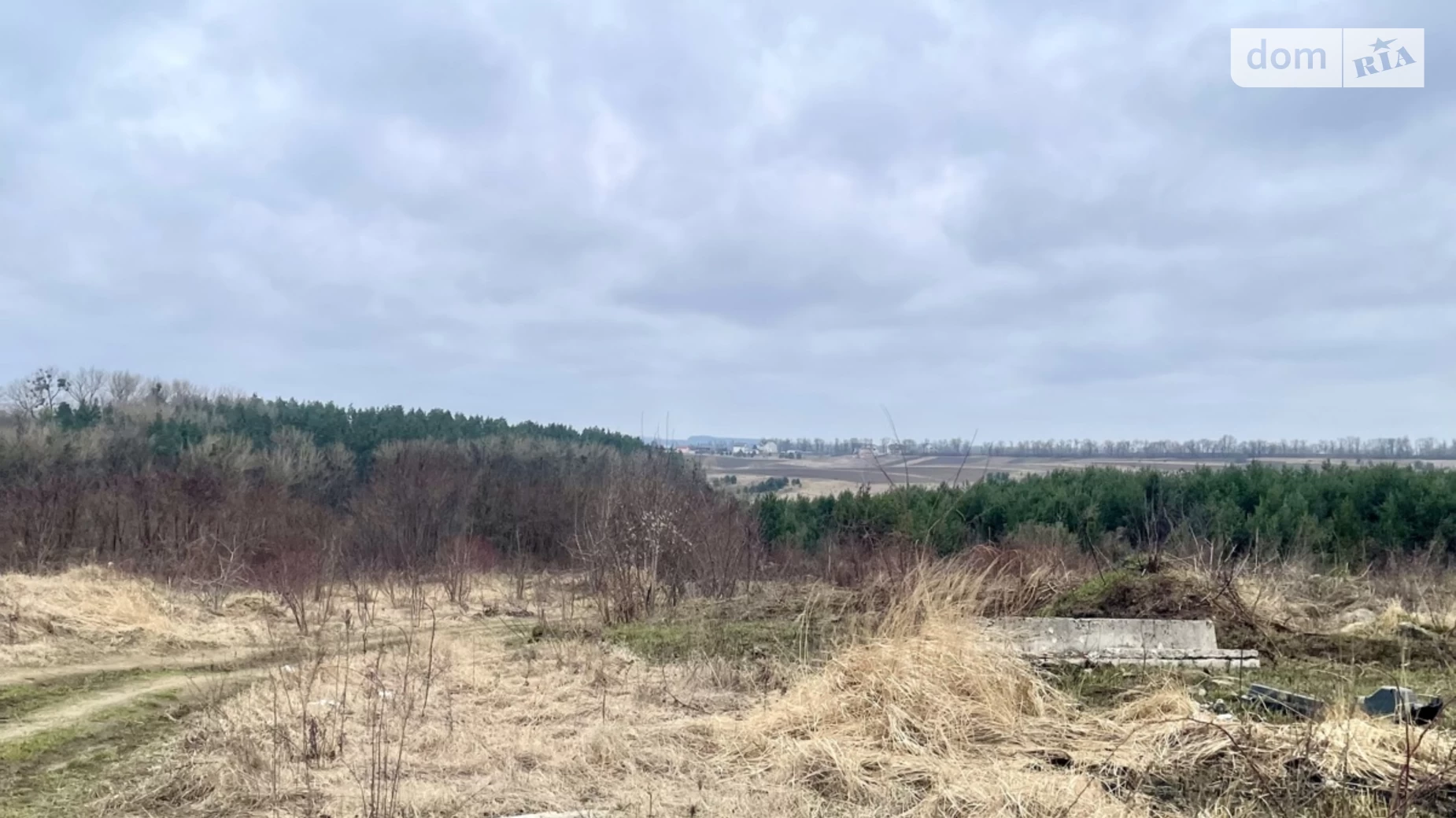Ружична Хмельницкий, цена: 317000 $ - фото 4