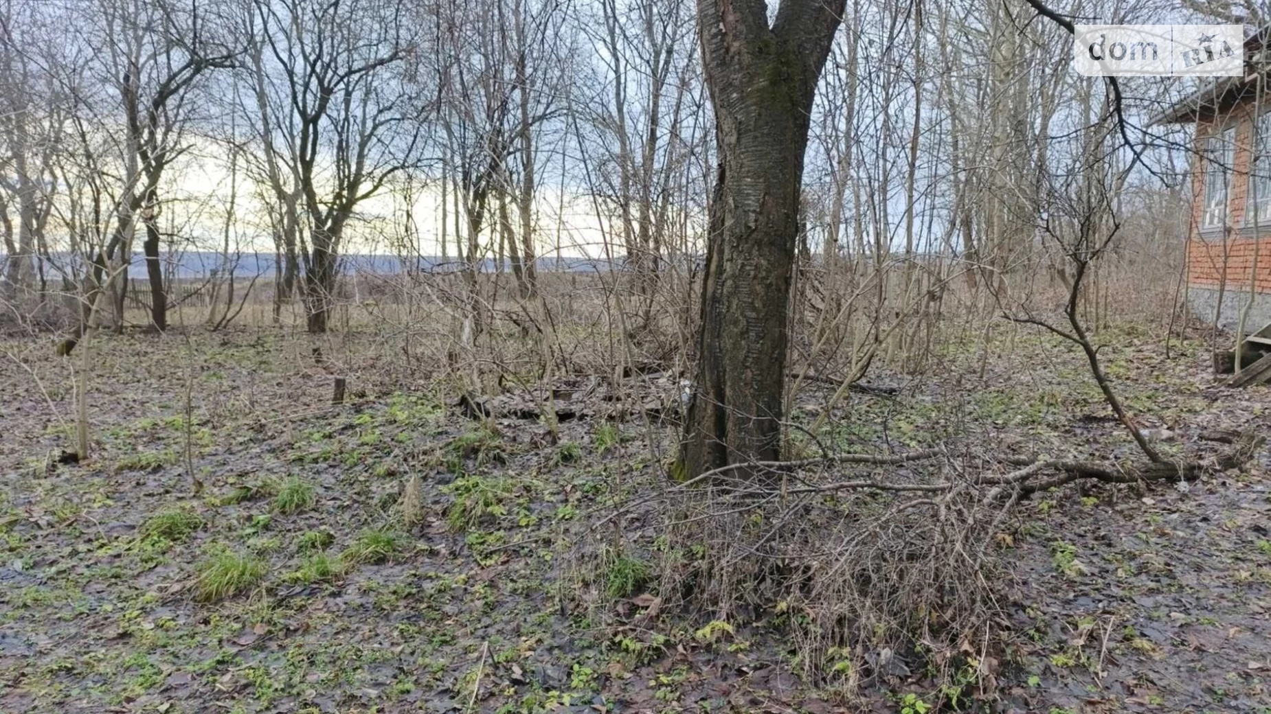 Продается одноэтажный дом 55 кв. м с садом, цена: 5000 $ - фото 4