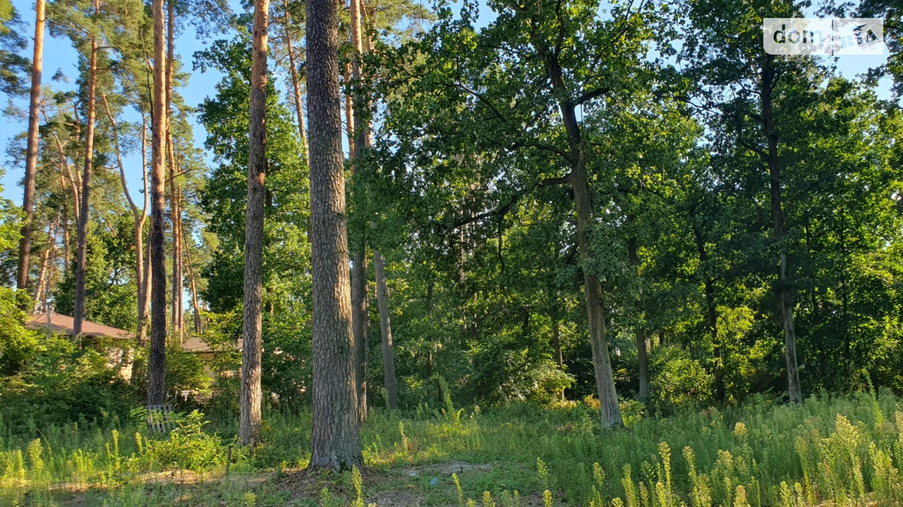 Продается земельный участок 6.5 соток в Киевской области, цена: 65000 $ - фото 4