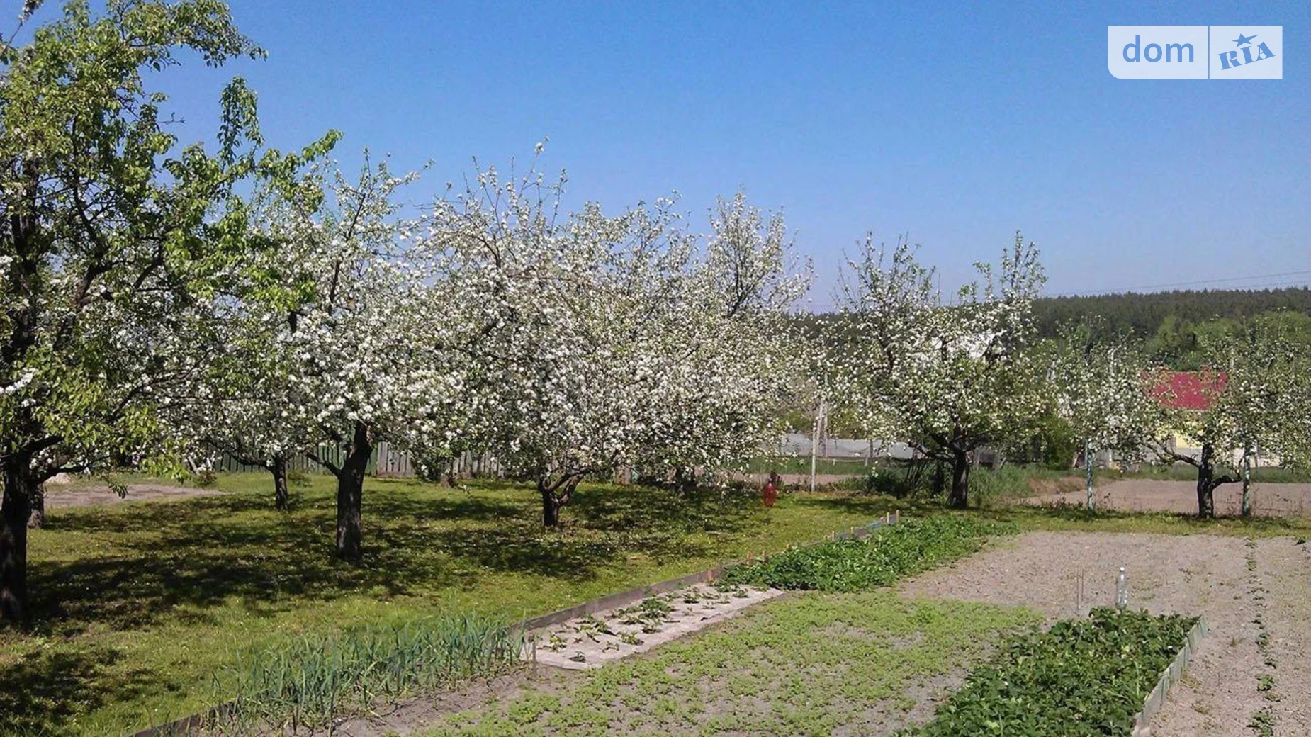 Продается дом на 2 этажа 45.9 кв. м с беседкой, цена: 45000 $ - фото 3