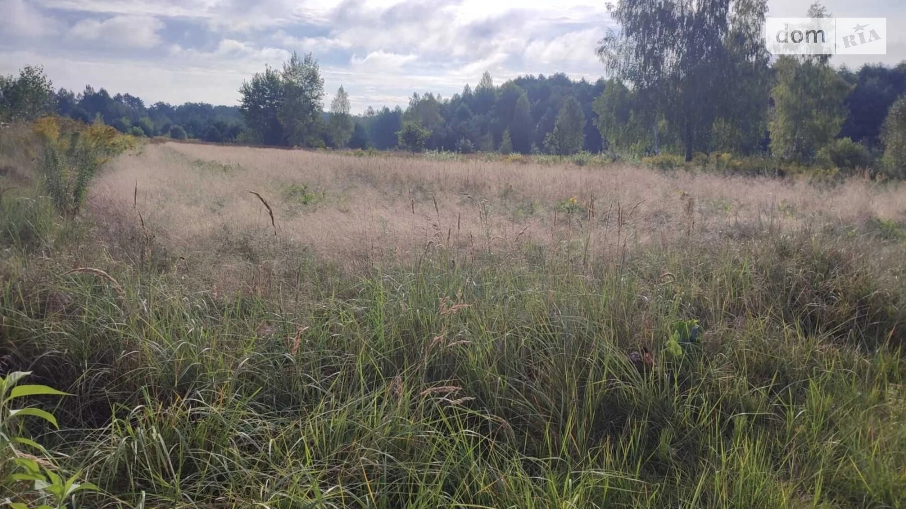 Продається земельна ділянка 39 соток у Рівненській області, цена: 12000 $ - фото 3