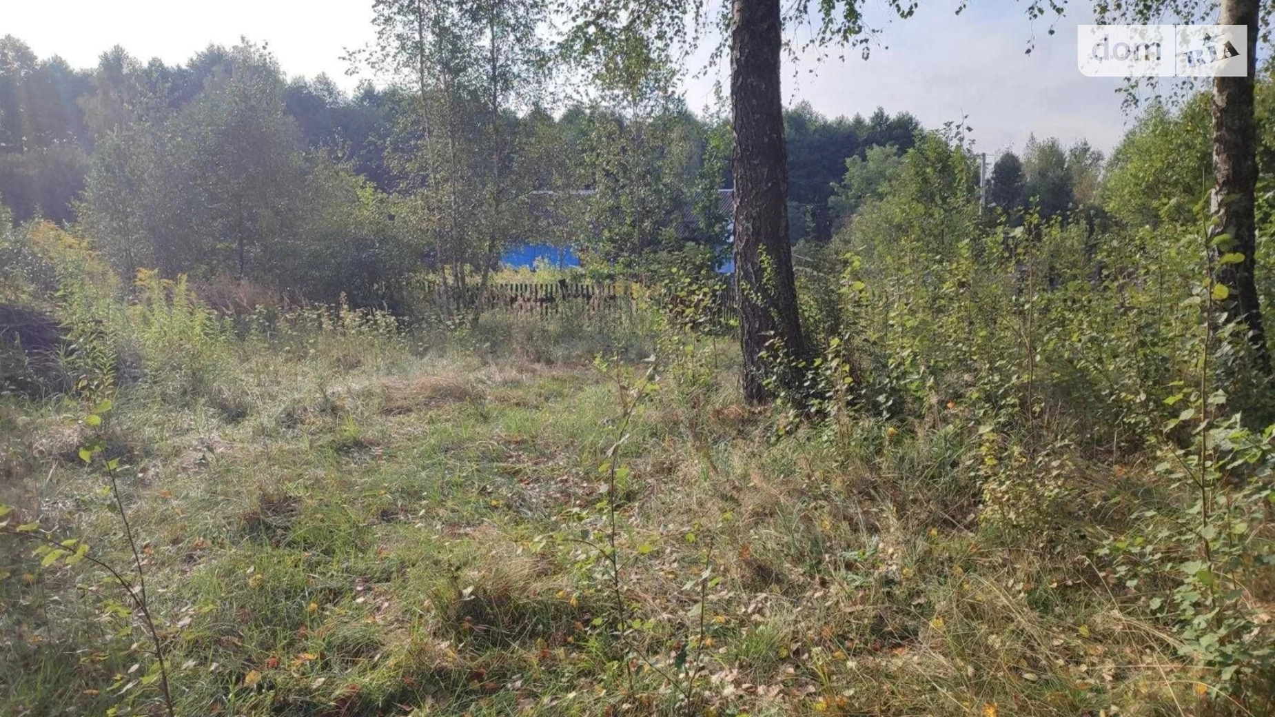 Продається земельна ділянка 39 соток у Рівненській області, цена: 12000 $ - фото 2