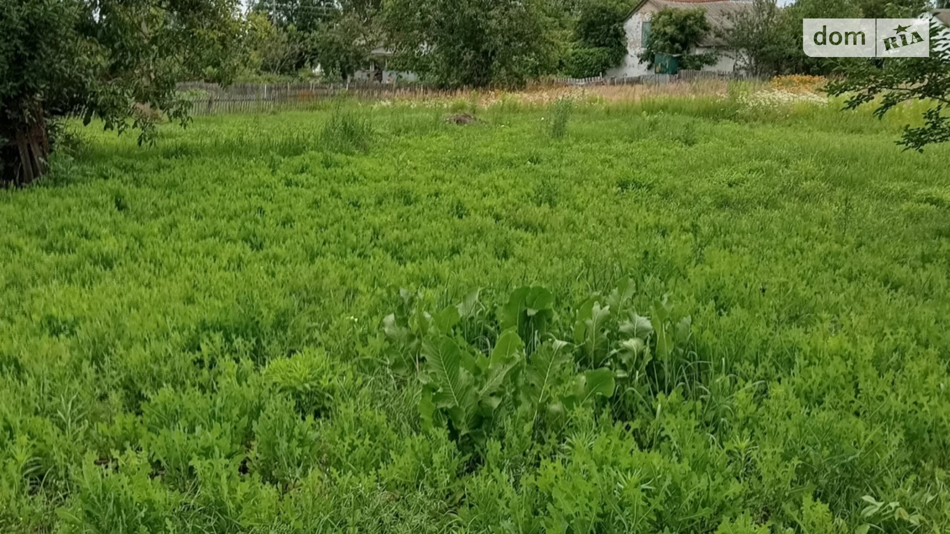 Продается одноэтажный дом 134 кв. м с террасой, цена: 15000 $ - фото 4