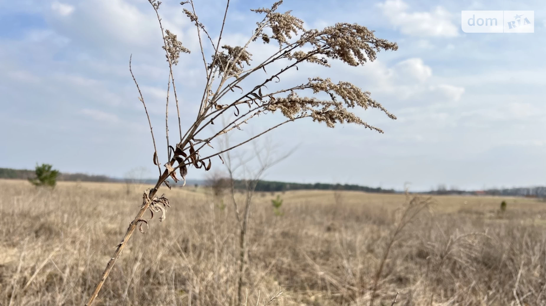 Продається земельна ділянка 10 соток у Вінницькій області, цена: 21500 $ - фото 4