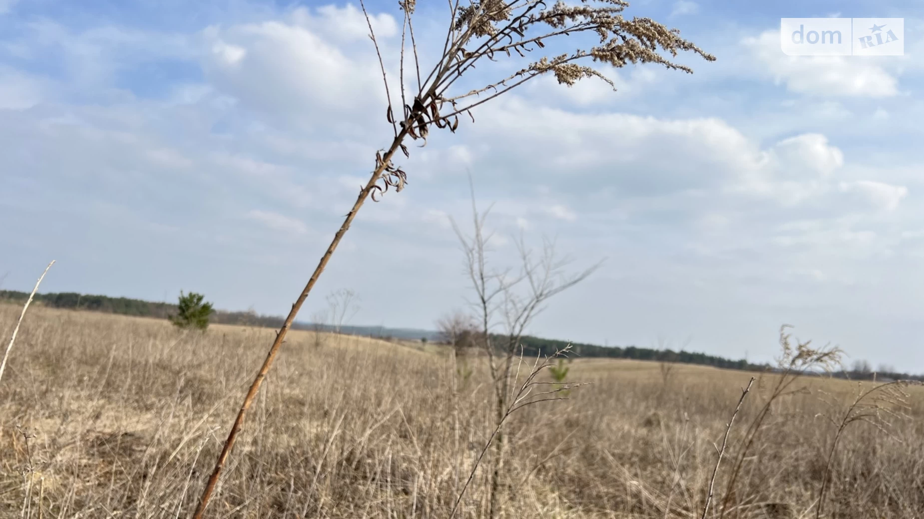 Продається земельна ділянка 10 соток у Вінницькій області, цена: 21500 $ - фото 5