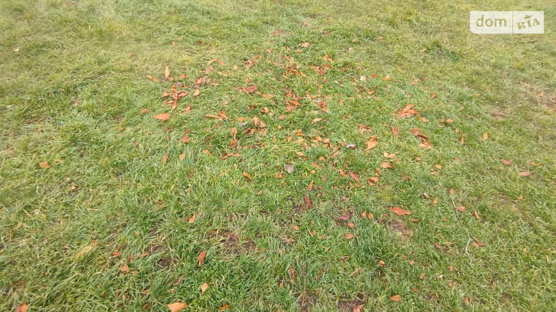 Продается земельный участок 6.5 соток в Одесской области, цена: 6500 $ - фото 4