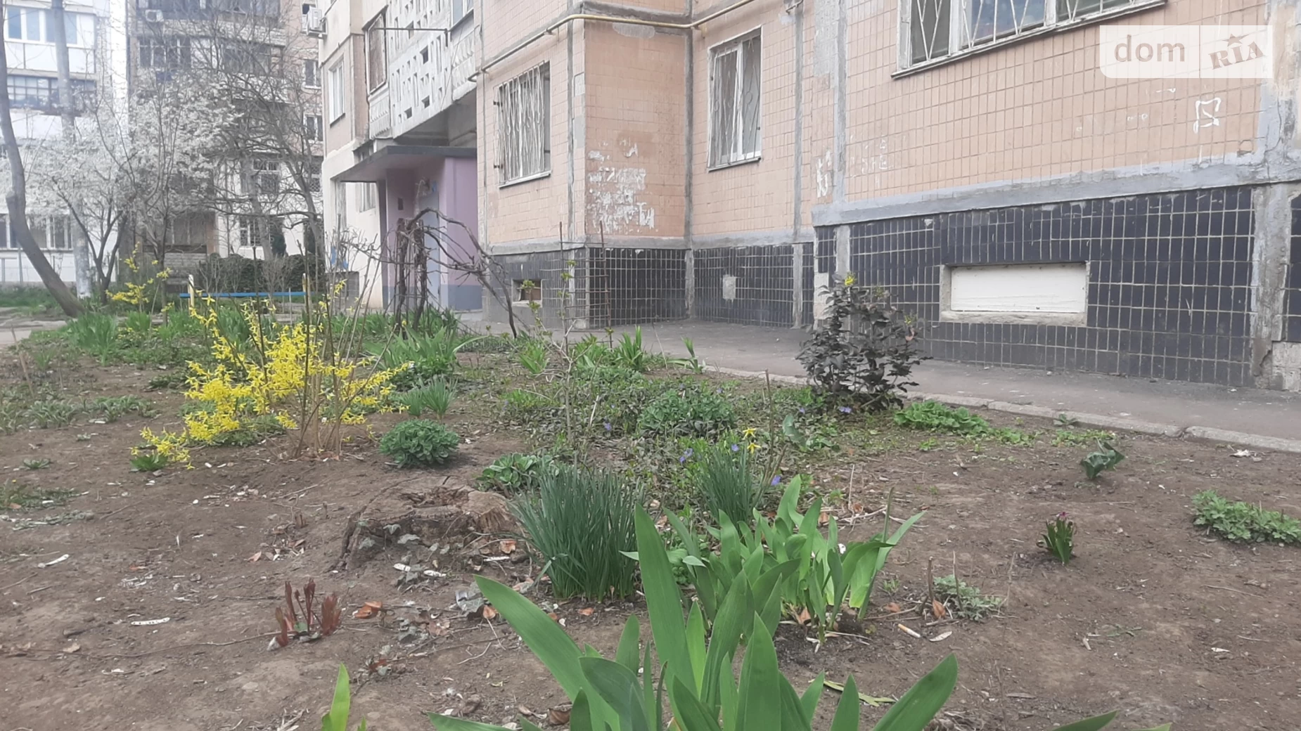 Продается 2-комнатная квартира 47 кв. м в Одессе, ул. Семьи Глодан(Ильфа и Петрова), 57/4 - фото 3