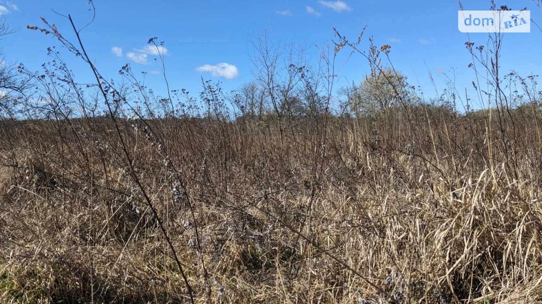 урочище Вилки Ивано-Франковск, цена: 17500 $ - фото 3