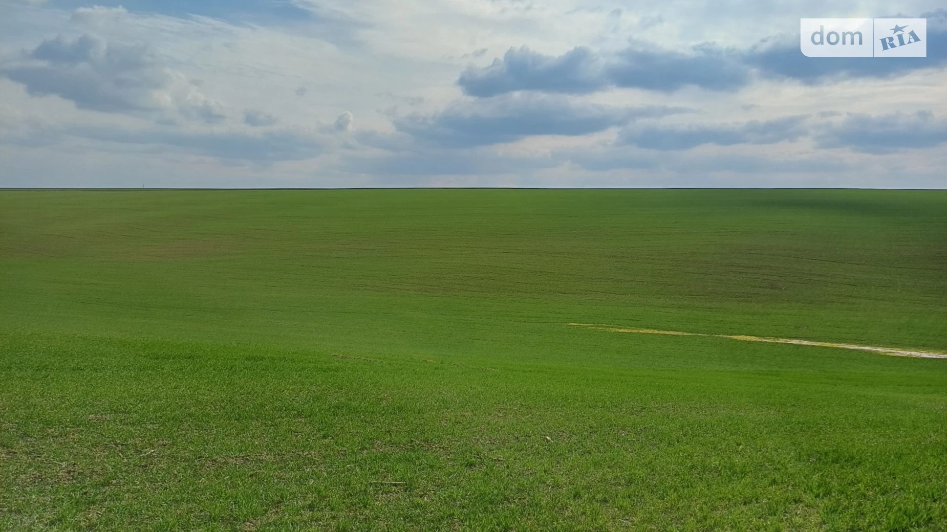 Черниховцы, цена: 4000 $ - фото 3