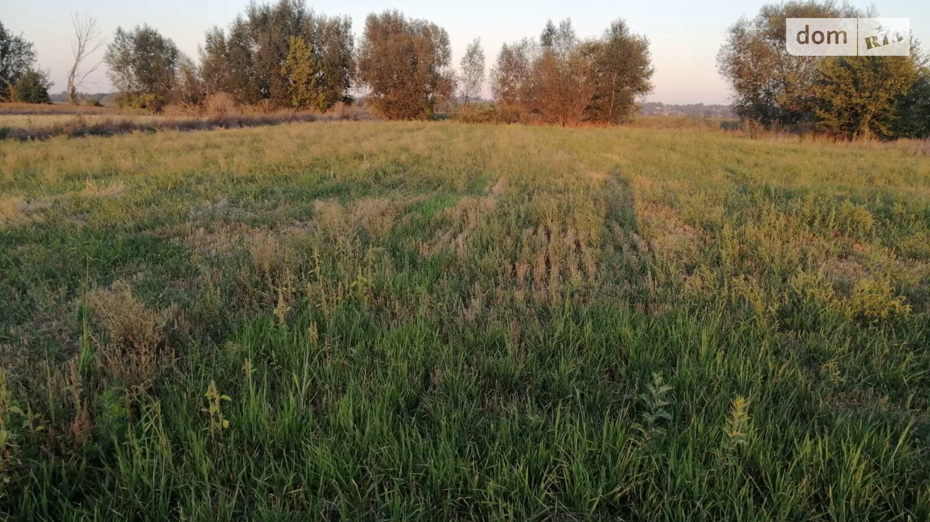 Продается земельный участок 20 соток в Киевской области, цена: 40000 $ - фото 3