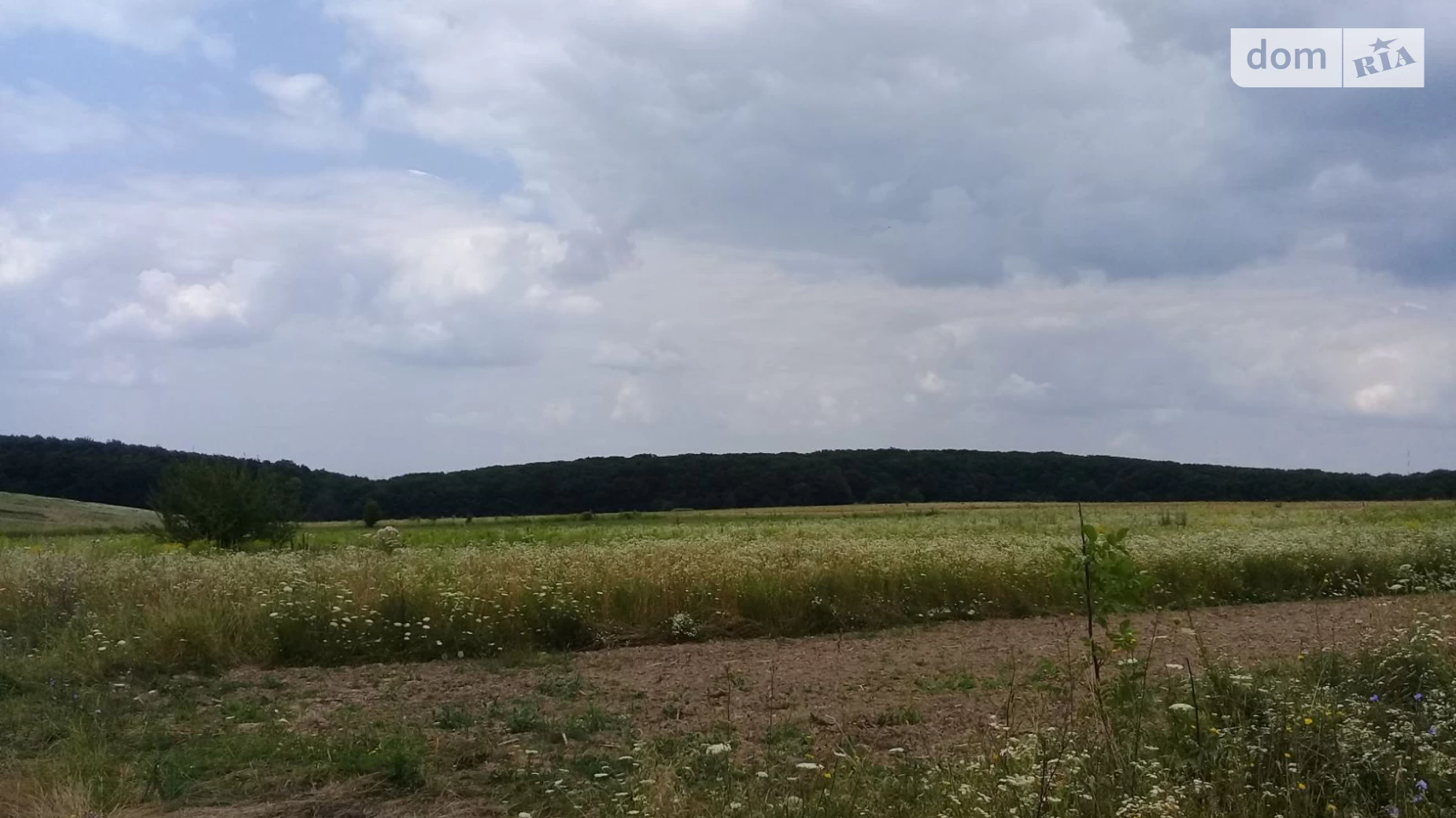 Продається земельна ділянка 20 соток у Вінницькій області, цена: 8000 $ - фото 2