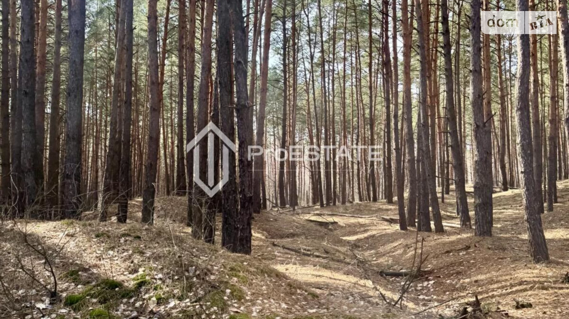 вулиця Переяславська, 8 Стовпяги, цена: 49000 $ - фото 3