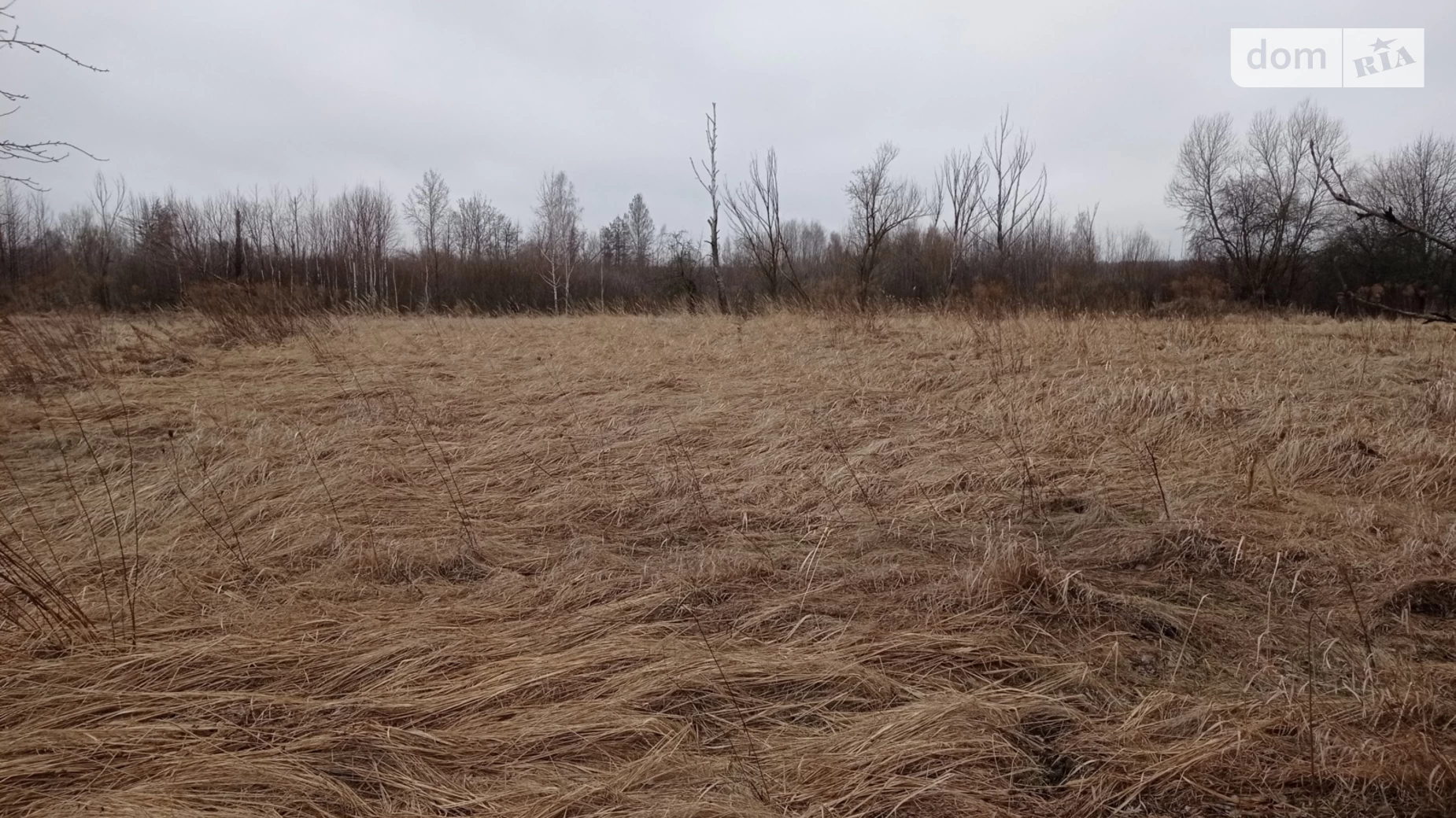 Продається земельна ділянка 2.083 соток у Чернігівській області, цена: 5500 $ - фото 3
