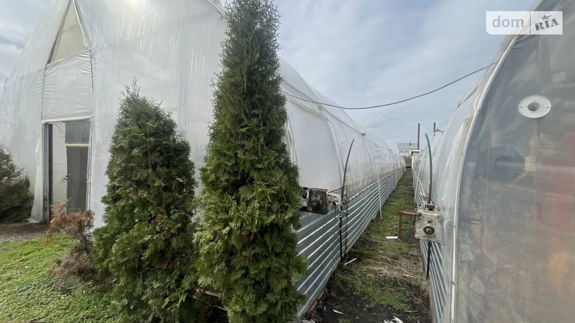 вул. Миру Яришівка (Тиврів), цена: 120000 $ - фото 4