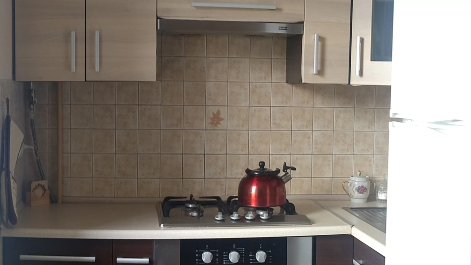 Продается 1-комнатная квартира 29 кв. м в Трускавце, ул. Василия Стуса, 5 - фото 5