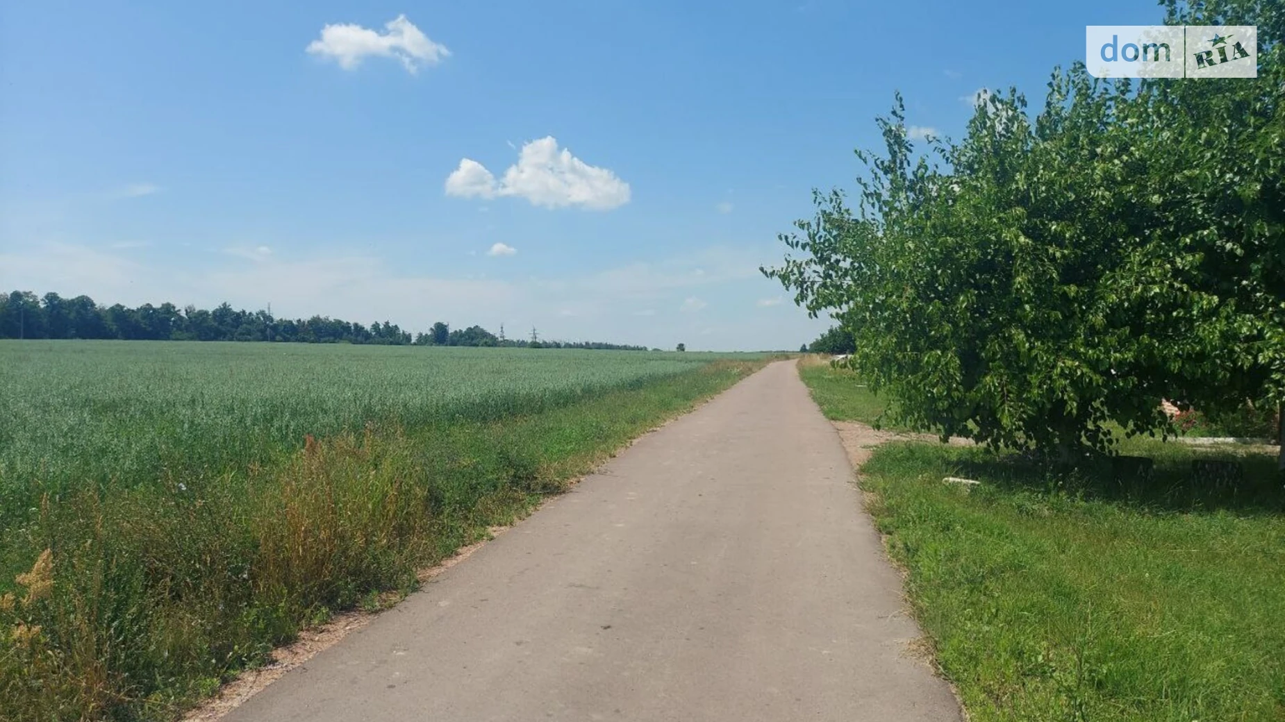 Продается земельный участок 15 соток в Житомирской области, цена: 6700 $ - фото 5