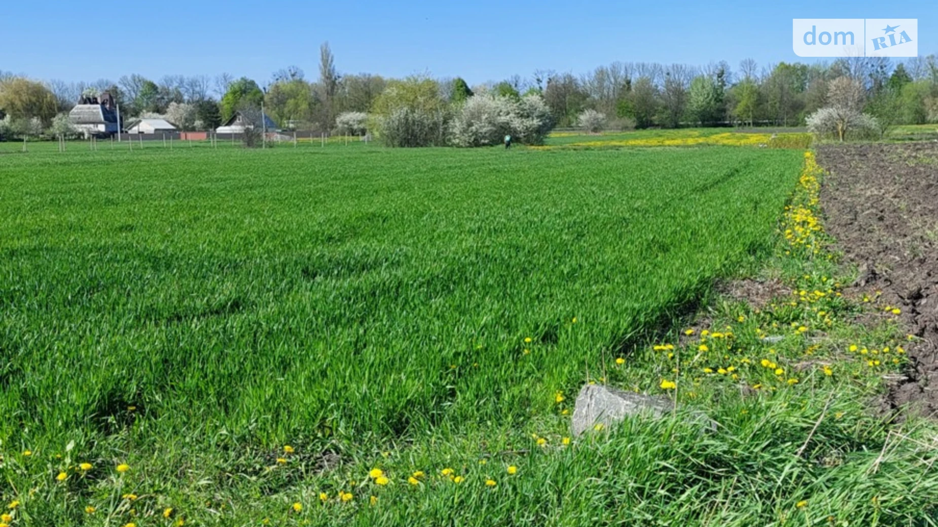 Продается земельный участок 25 соток в Винницкой области, цена: 17000 $ - фото 3