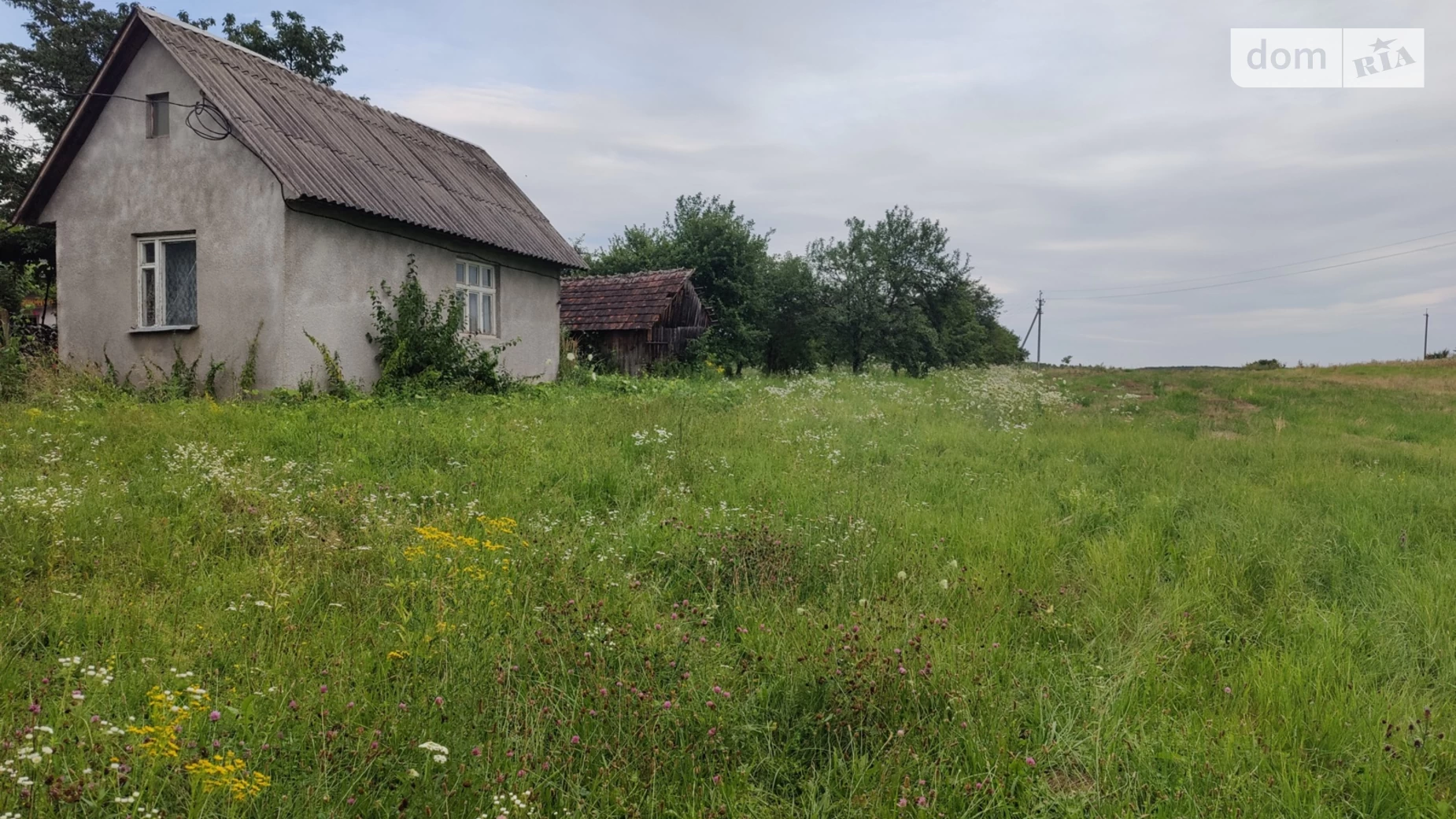 Продается земельный участок 0.25 соток в Закарпатской области, цена: 25000 $ - фото 4