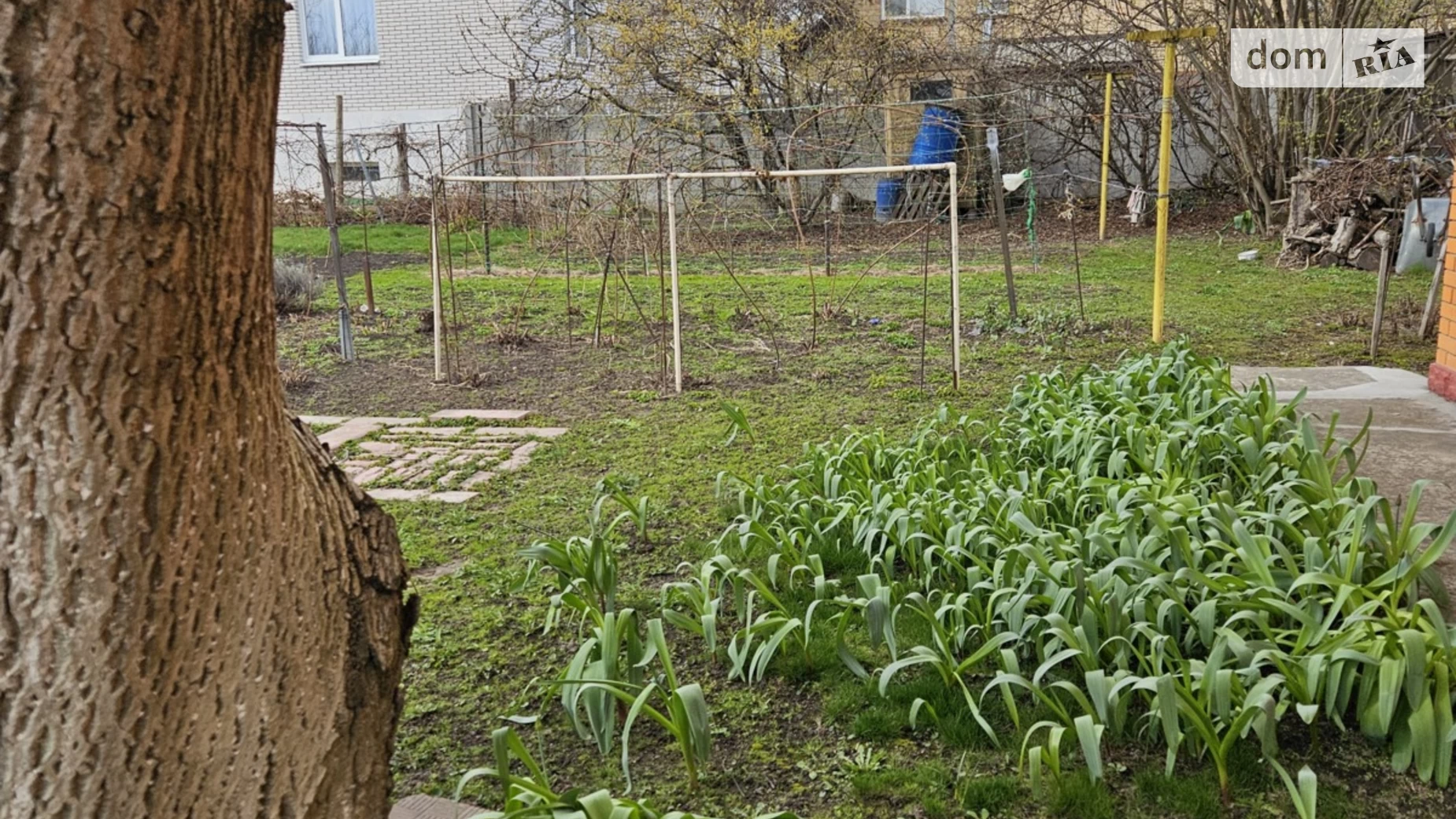 ул. Шевченко Софиевская Борщаговка, цена: 110000 $ - фото 5
