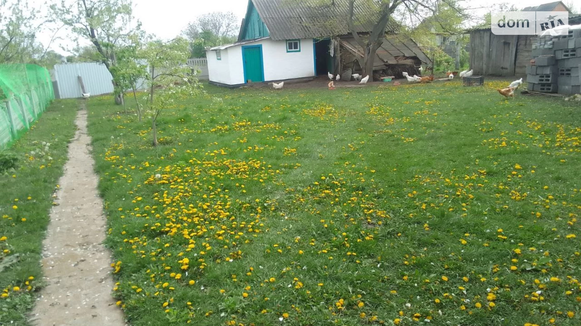 Продається одноповерховий будинок 33 кв. м з терасою, цена: 10300 $ - фото 4