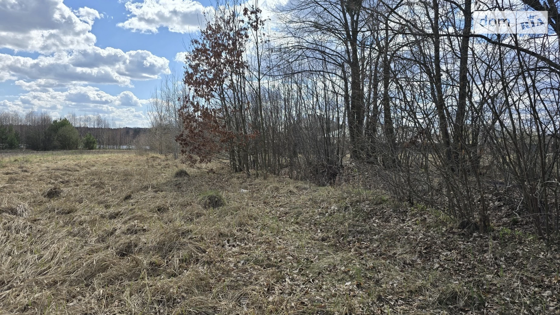 Продається земельна ділянка 11 соток у Житомирській області, цена: 16500 $ - фото 3