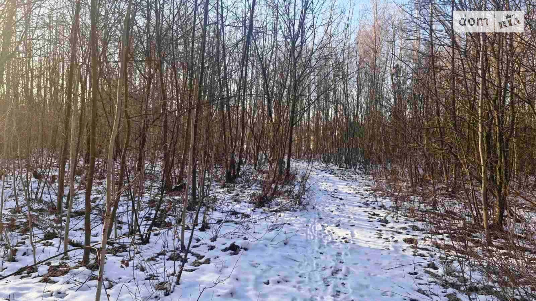 Продається земельна ділянка 8 соток у Житомирській області, цена: 5700 $ - фото 2