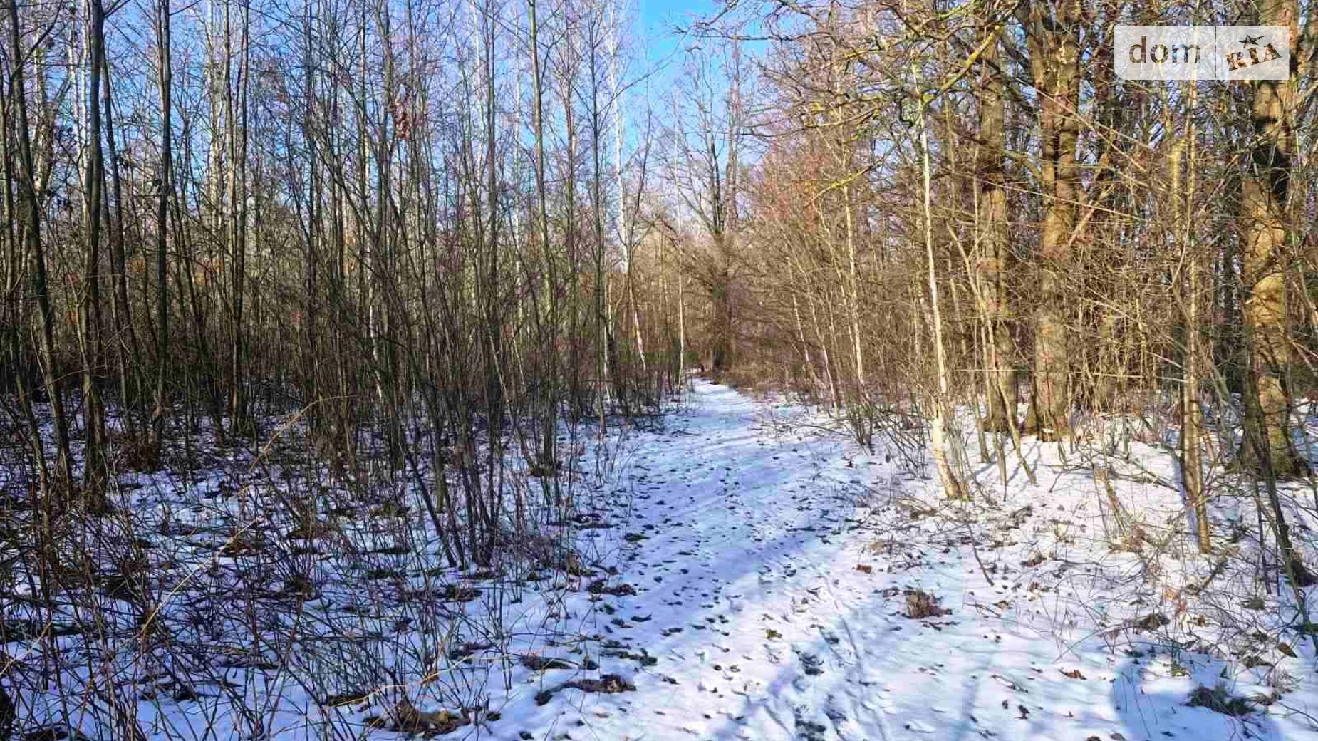 Продається земельна ділянка 8 соток у Житомирській області, цена: 5700 $ - фото 4