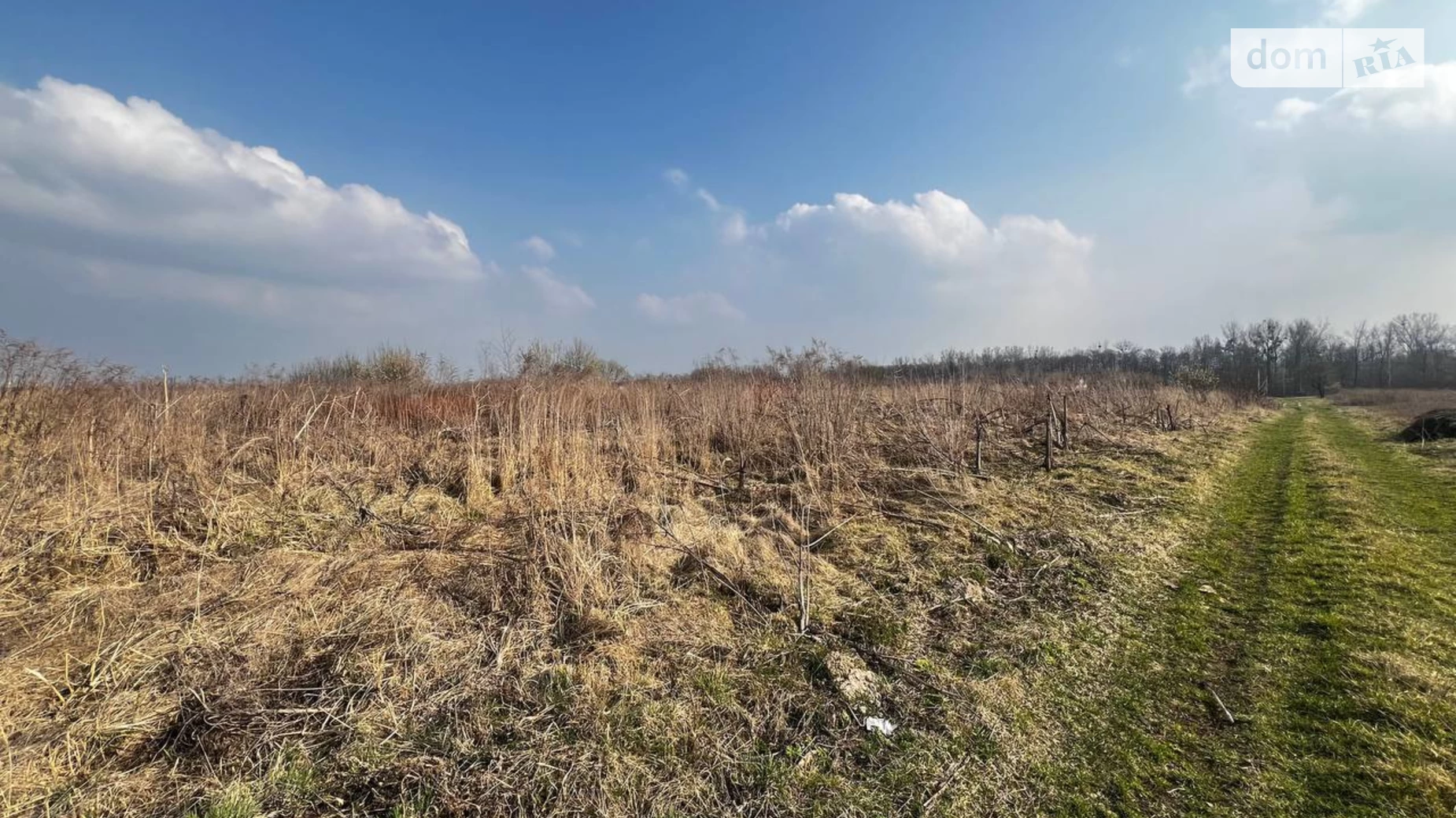 квартал забудови К-5 ділянка №64 Домажир, цена: 14500 $ - фото 4