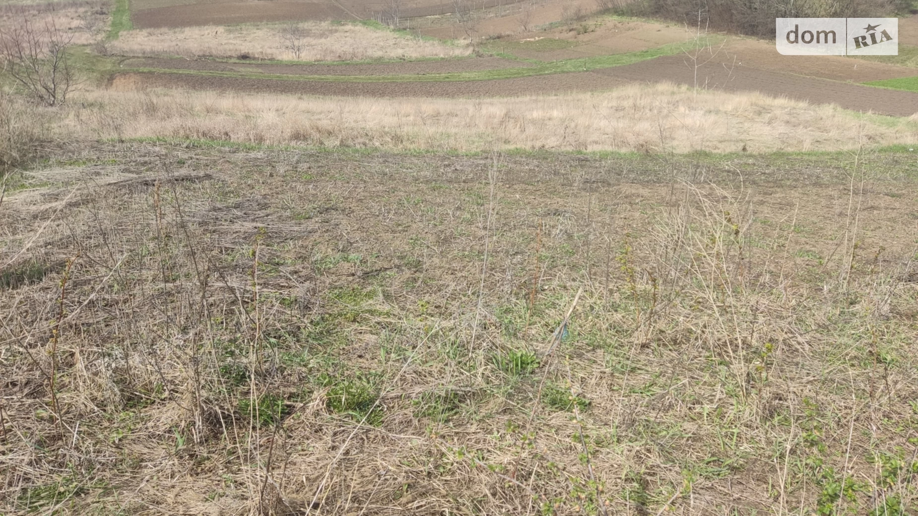 Гречани дальні Хмельницький, цена: 5000 $ - фото 3