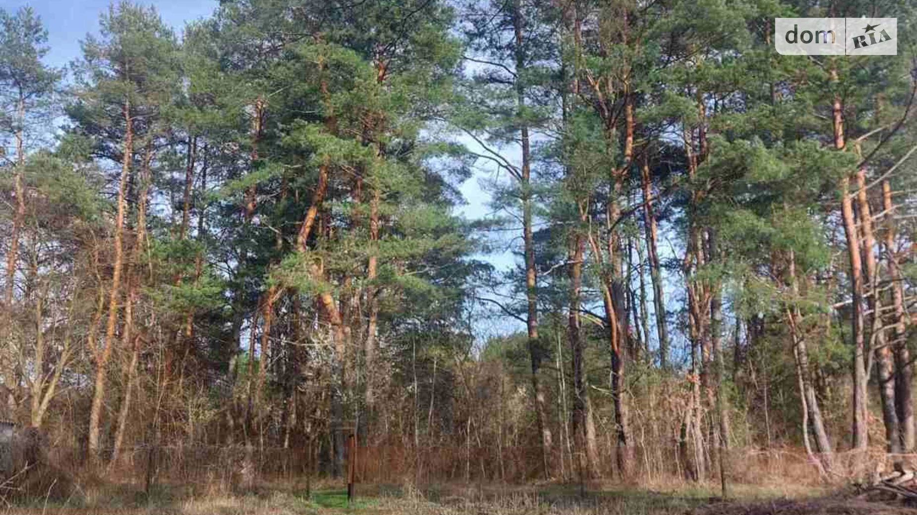 ул. Школьная Брюховичи (Львов), цена: 110000 $ - фото 3