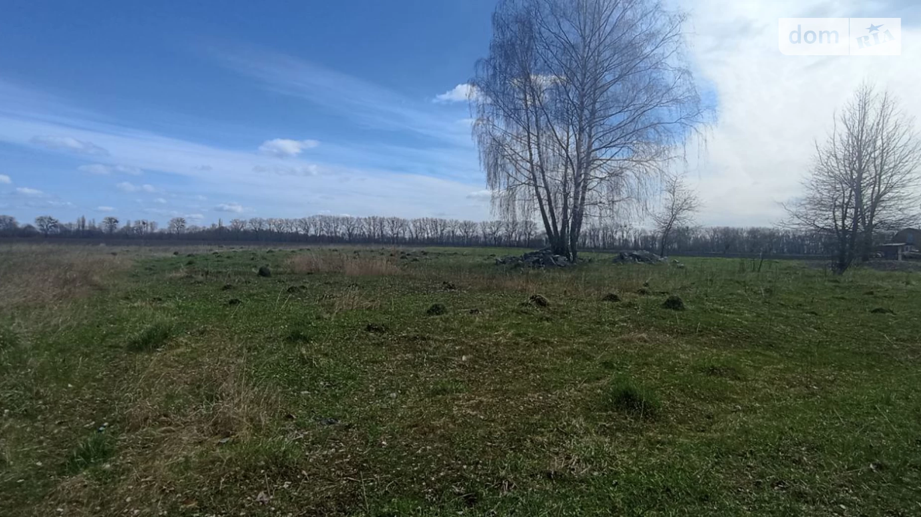 Продается земельный участок 25 соток в Винницкой области, цена: 10000 $ - фото 2