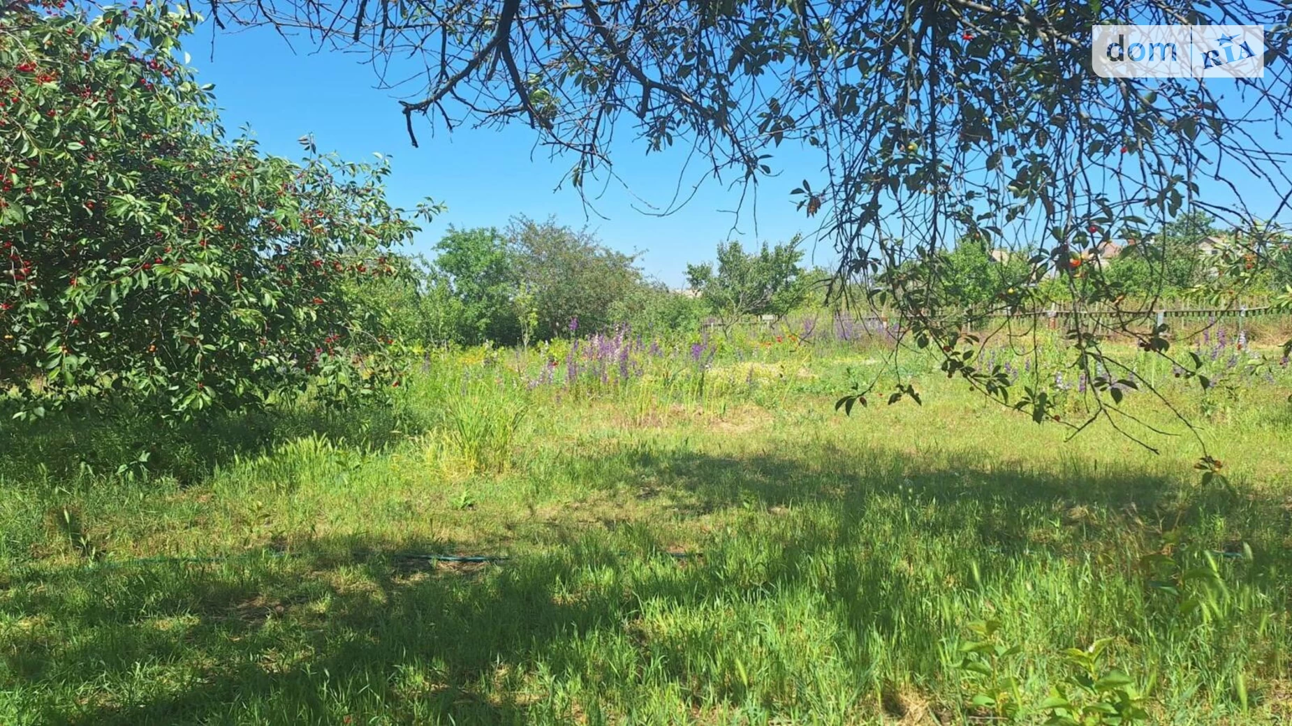 5-а лінія СТ "Прибой" Нова Долина, цена: 3500 $ - фото 4