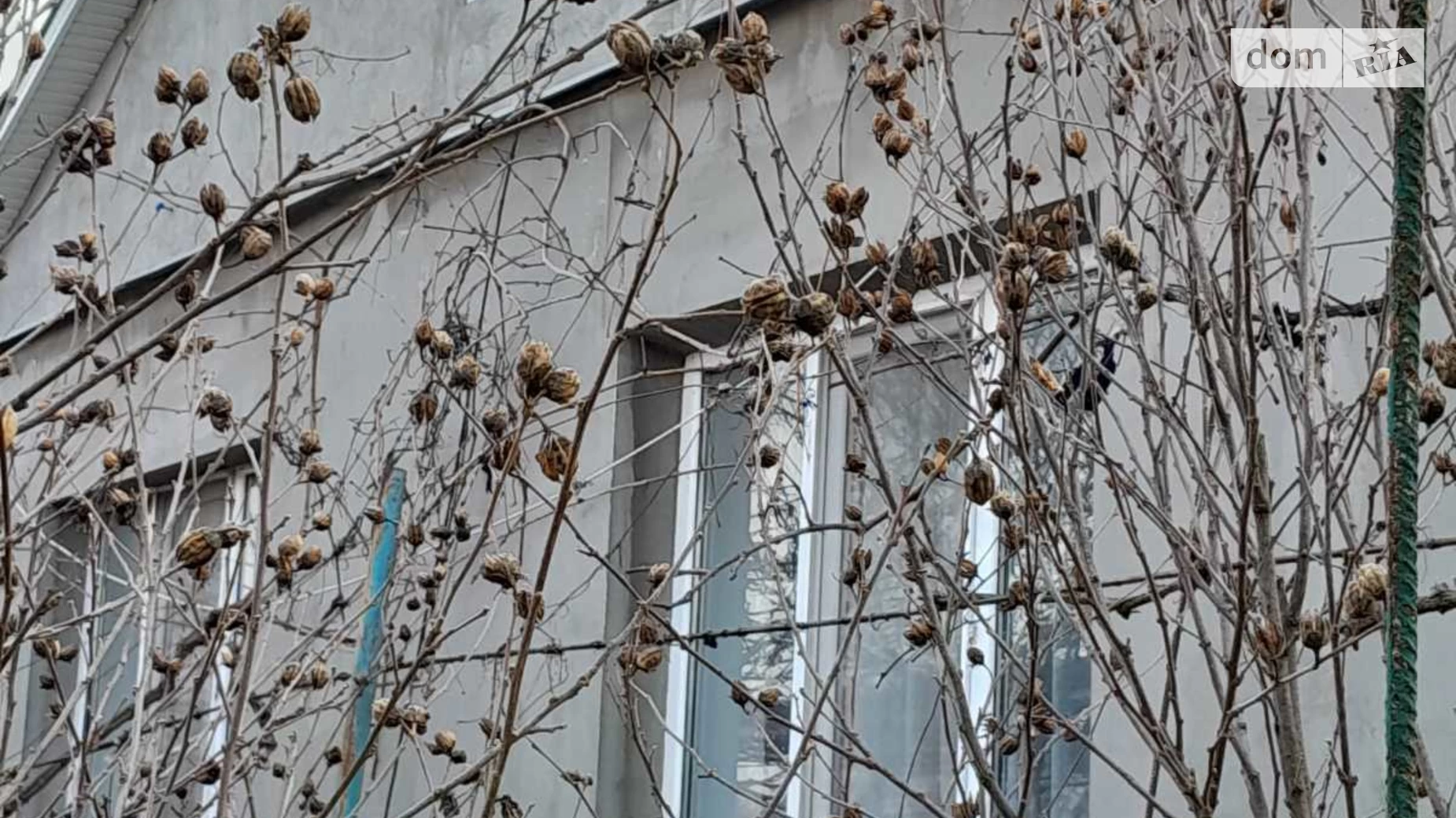 Продається одноповерховий будинок 81.8 кв. м з садом, цена: 45000 $ - фото 3
