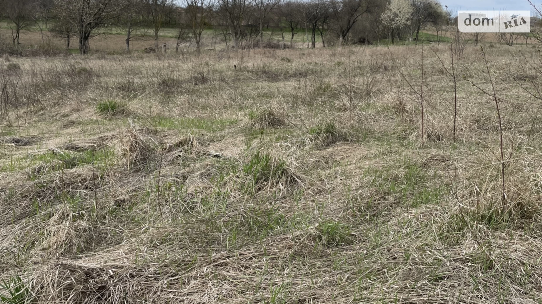 пров. Степовий Зарванці, цена: 15000 $ - фото 2