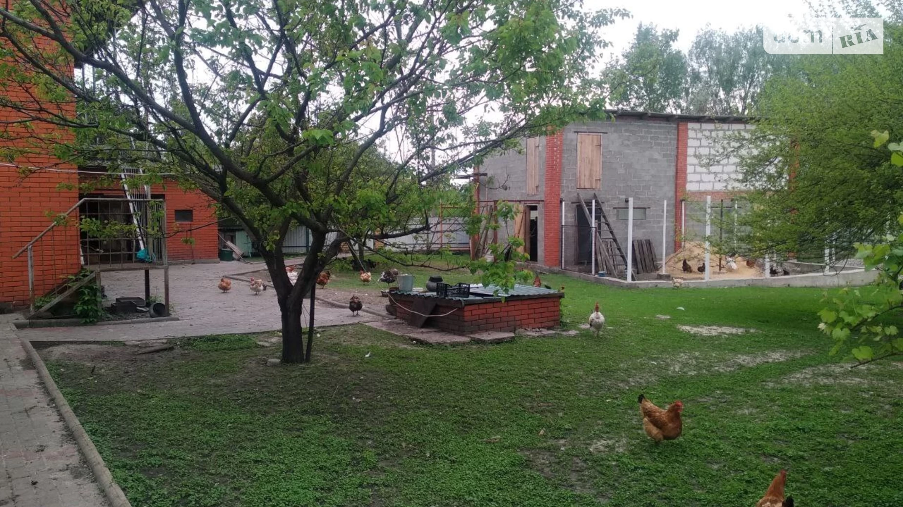 вул. Медова(Генерала Ватутіна) Червоне Поле, цена: 150000 $ - фото 5