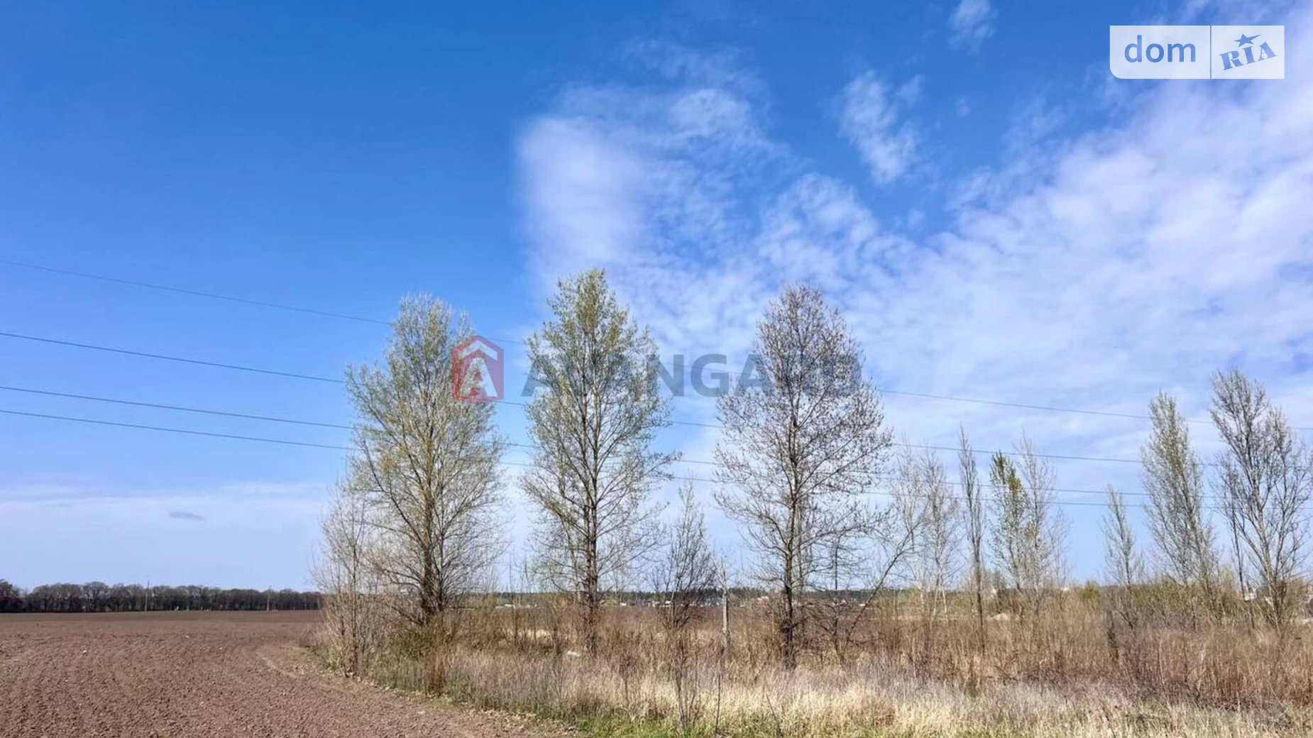 ул. Рустави Сосновский Черкассы, цена: 15000 $ - фото 4