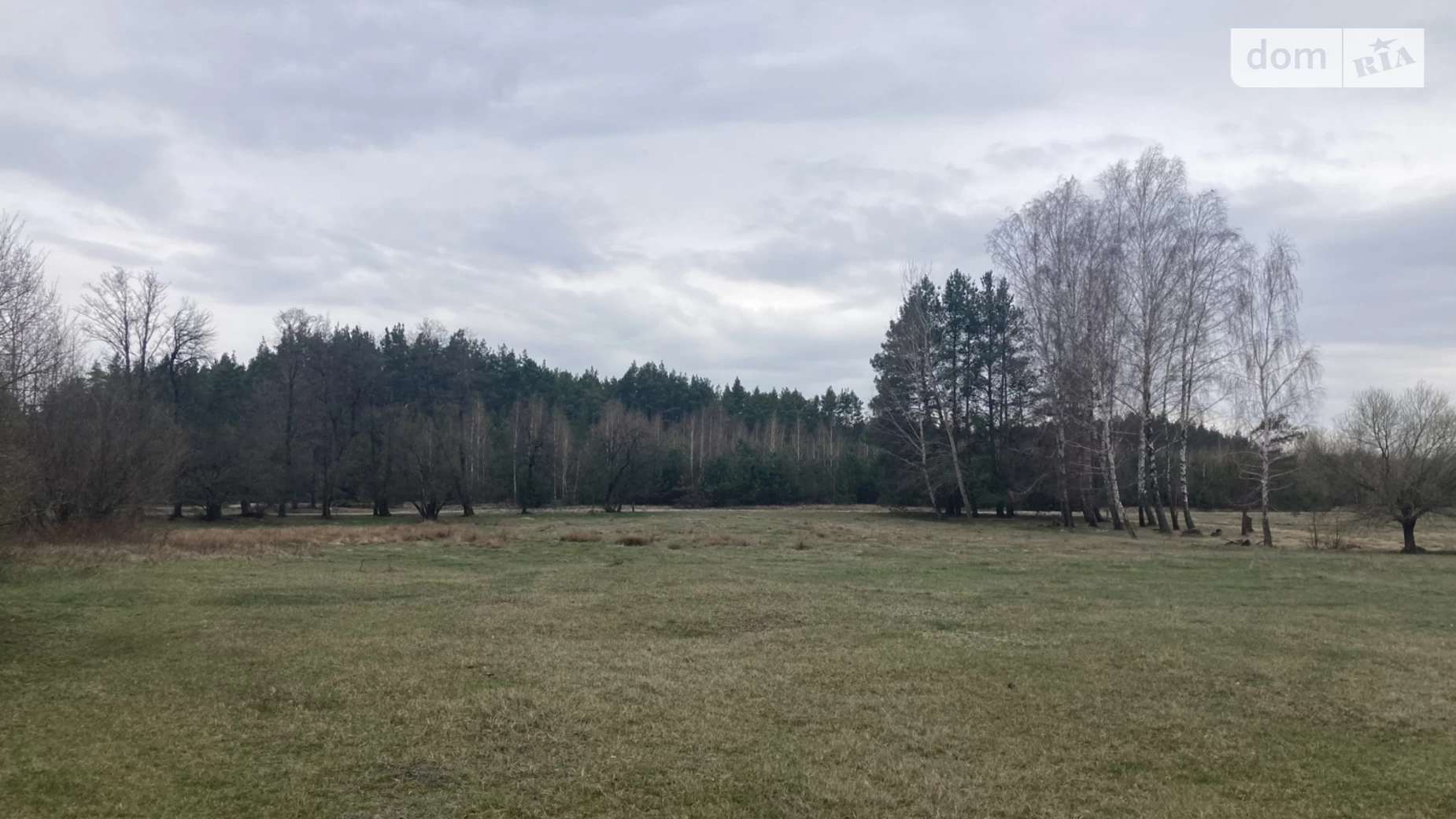 Майдан, цена: 5000 $ - фото 3