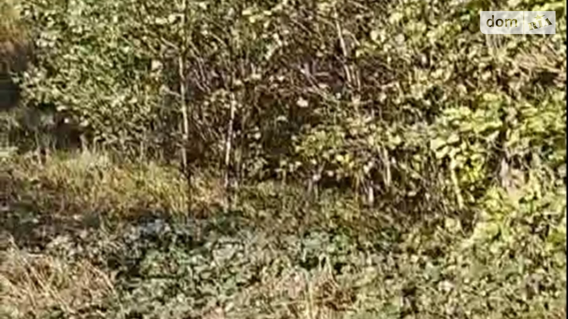 Продається земельна ділянка 12 соток у Львівській області, цена: 36000 $ - фото 5