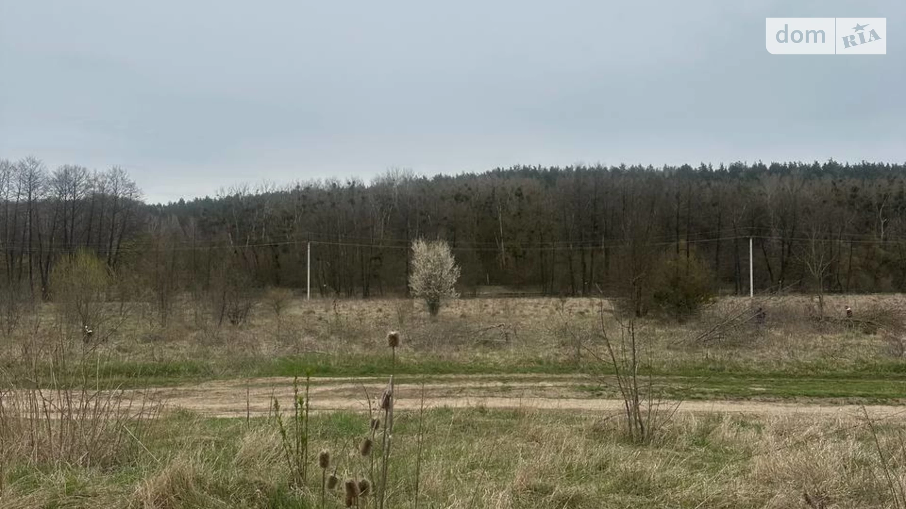 Продається земельна ділянка 17 соток у Вінницькій області, цена: 84000 $ - фото 2