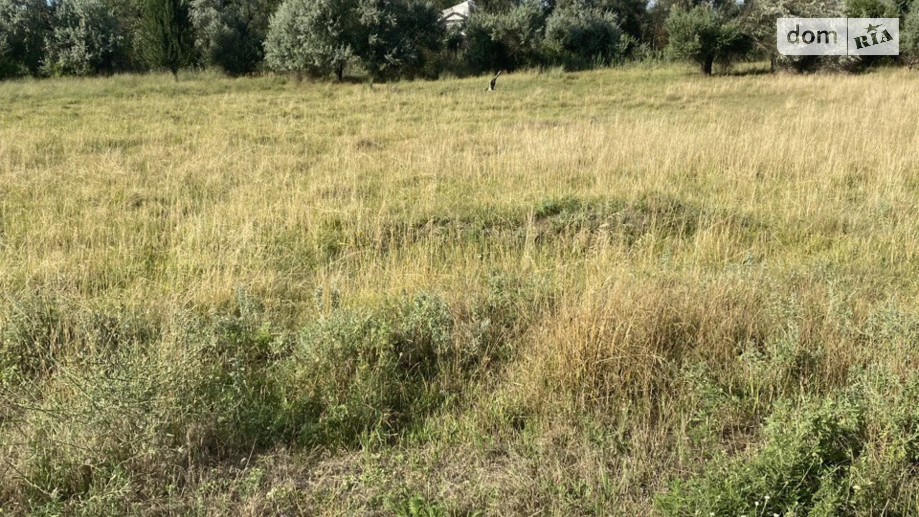 Продается земельный участок 0.0995 соток в Днепропетровской области, цена: 10000 $ - фото 5