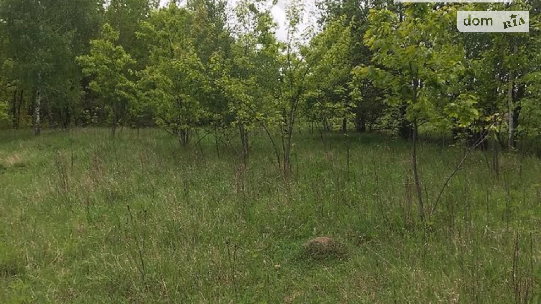 Продається земельна ділянка 11.5 соток у  області, цена: 5500 $ - фото 4