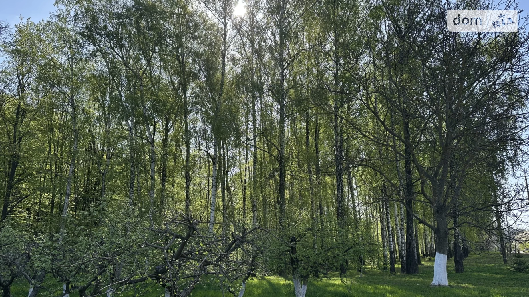 Продається будинок 3 поверховий 360 кв. м з ділянкою, цена: 90000 $ - фото 4
