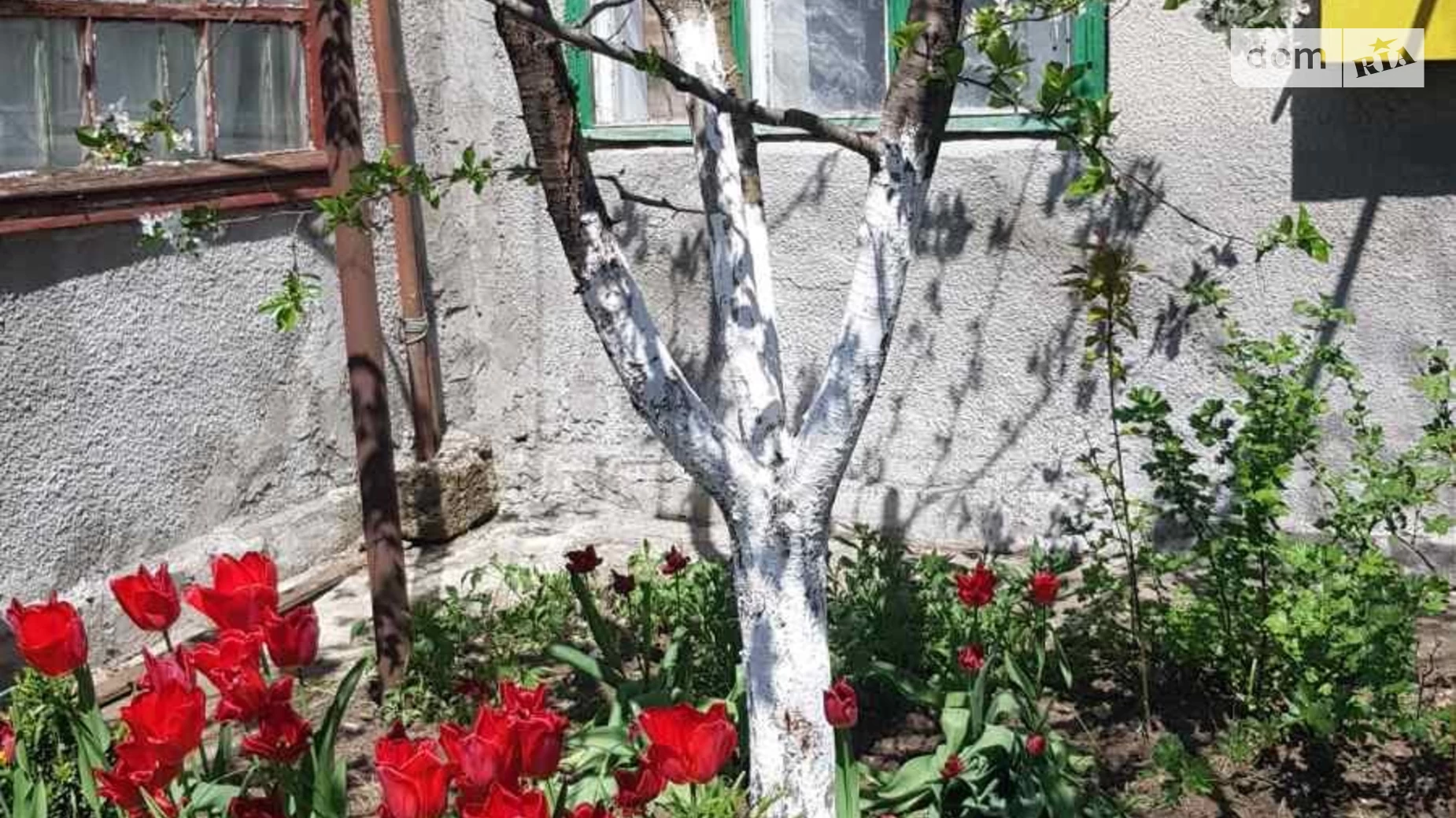 Продается одноэтажный дом 60 кв. м с балконом, цена: 24000 $ - фото 2