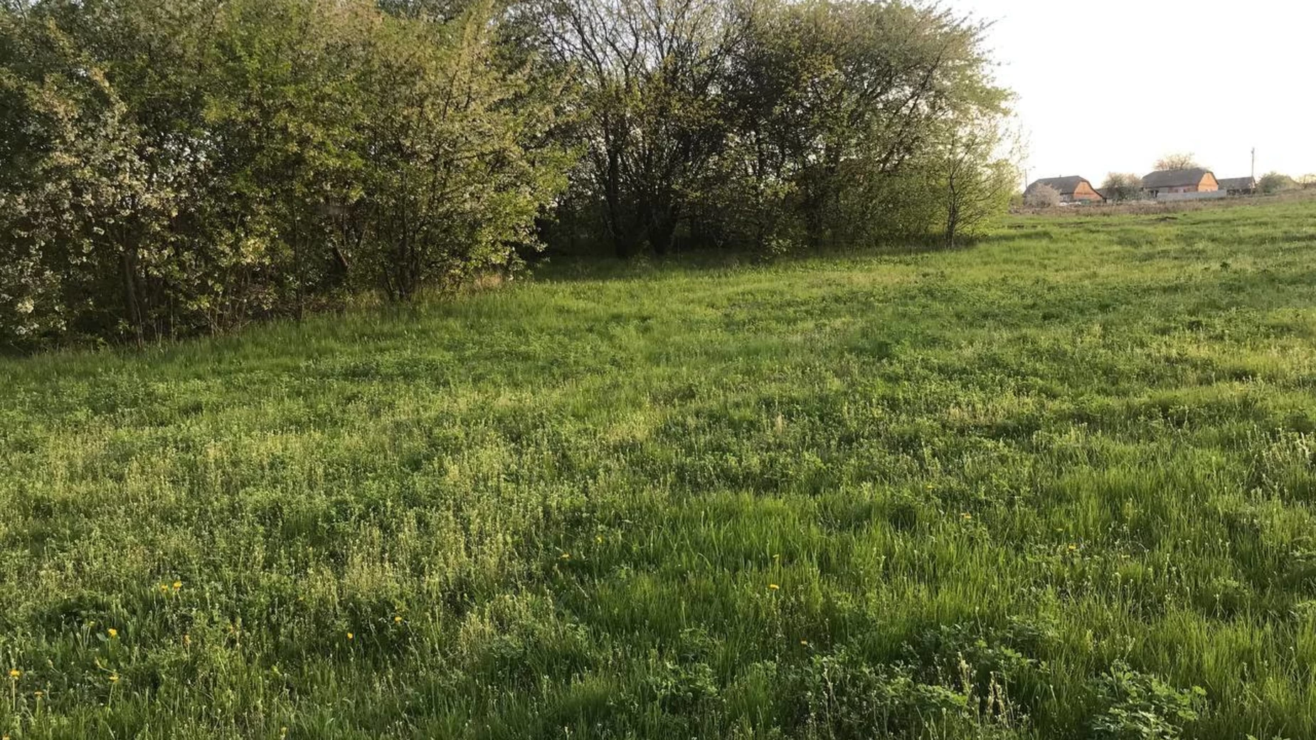Продается земельный участок 21 соток в Полтавской области, цена: 15500 $ - фото 2