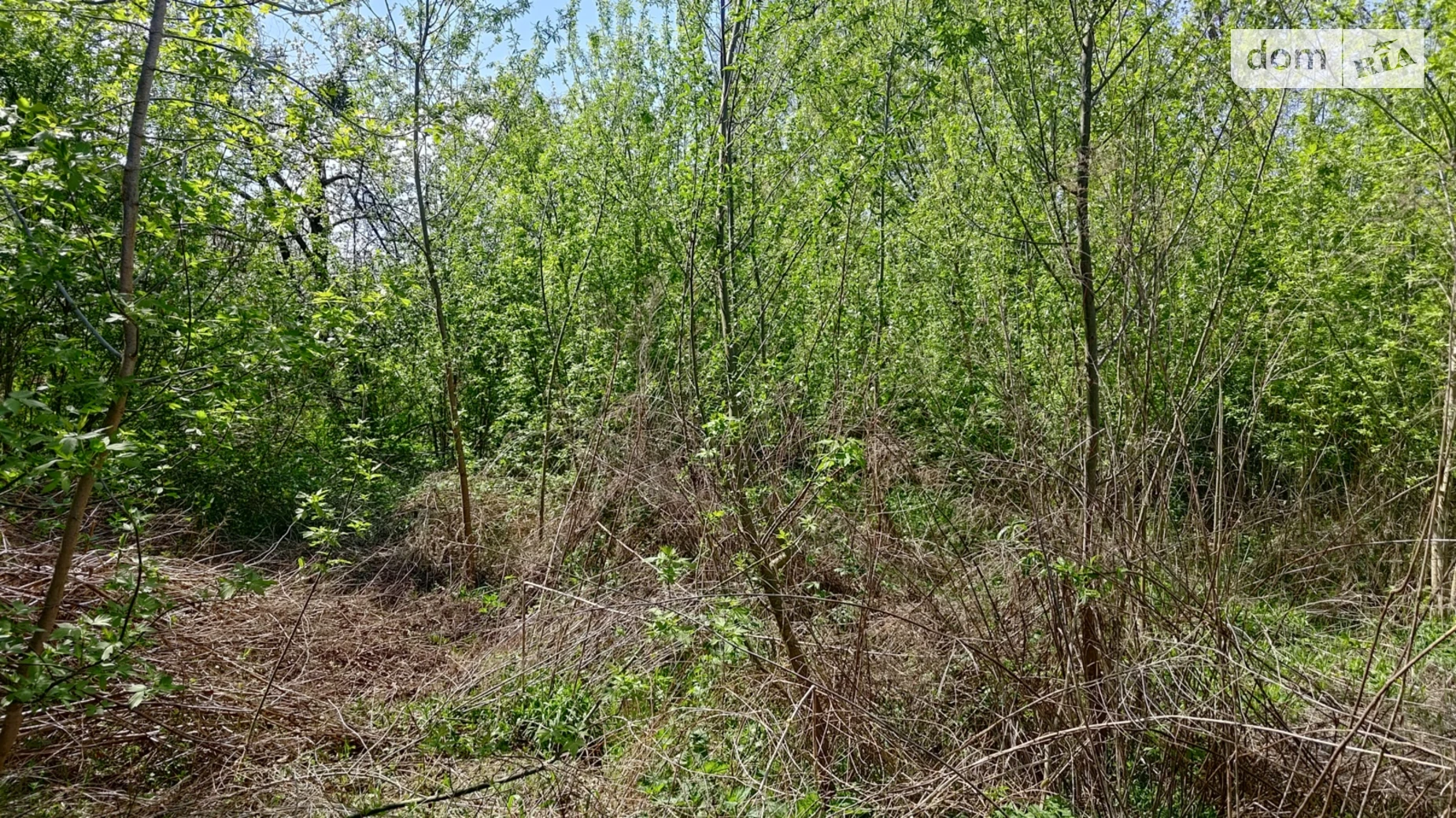 Продается земельный участок 5.49 соток в Черновицкой области, цена: 29000 $ - фото 5