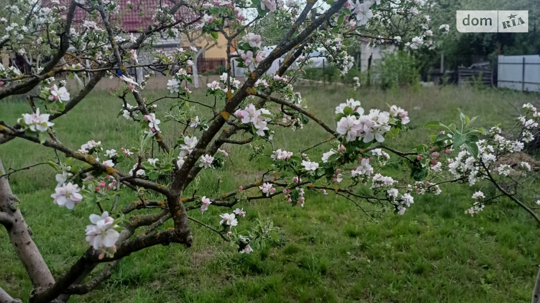 Продається одноповерховий будинок 85 кв. м з банею/сауною, цена: 85000 $ - фото 4