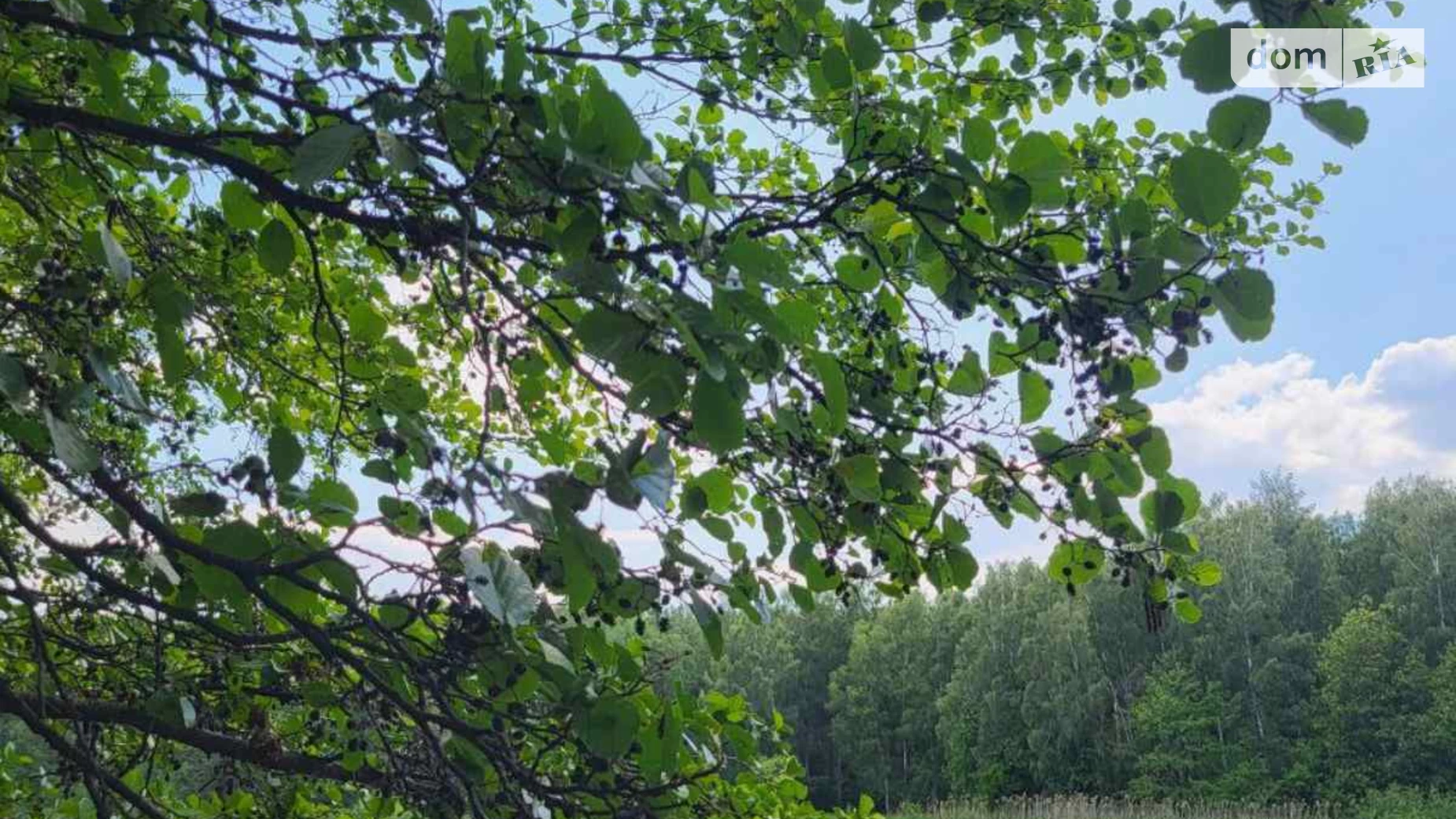 Продається будинок 2 поверховий 50 кв. м з терасою, цена: 10000 $ - фото 4