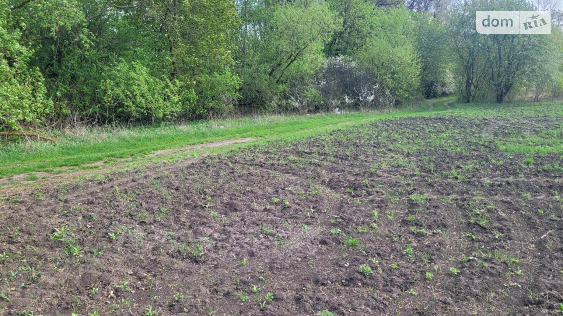 Продається земельна ділянка 27 соток у Тернопільській області, цена: 12000 $ - фото 2